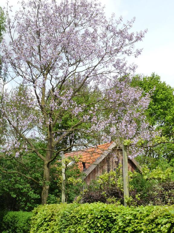 Vila Gasthuys Hongerdyck Bruchterveld Exteriér fotografie